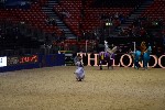 Quadrille - 00422
